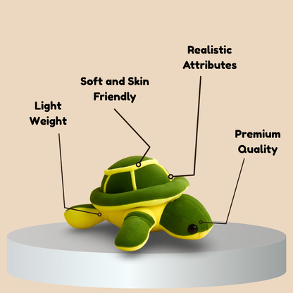 ShellSlow - The Lazy Turtle